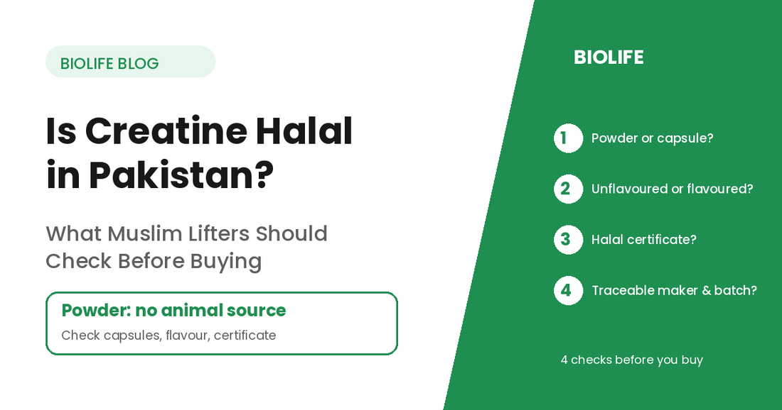 Is Creatine Halal in Pakistan? 4 checks before you buy